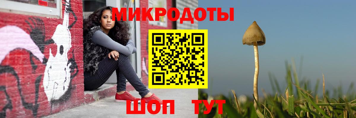 купить наркоту  Вход с VPN  Галлюциногенные грибы мицелий  Унеча  Псилоцибиновые грибы Psilocybe 